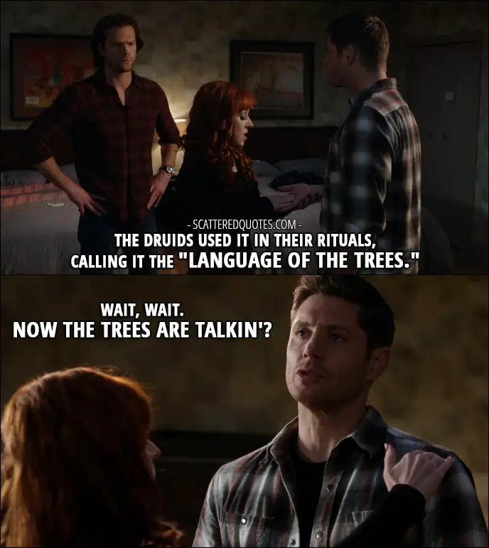 30 Best Supernatural Quotes from 'Regarding Dean' (12x11) - Rowena: The Druids used it in their rituals, calling it the "Language of the Trees." Dean Winchester: Wait, wait. Now the trees are talkin'?