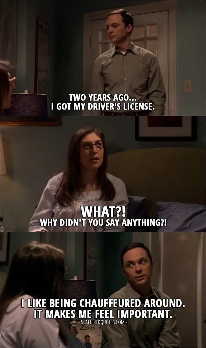 14 Best The Big Bang Theory Quotes from 'The Allowance Evaporation' (10x16) - Sheldon Cooper: Two years ago... I got my driver's license. Amy Farrah Fowler: What?! Why didn't you say anything?! Sheldon Cooper: I like being chauffeured around. It makes me feel important.