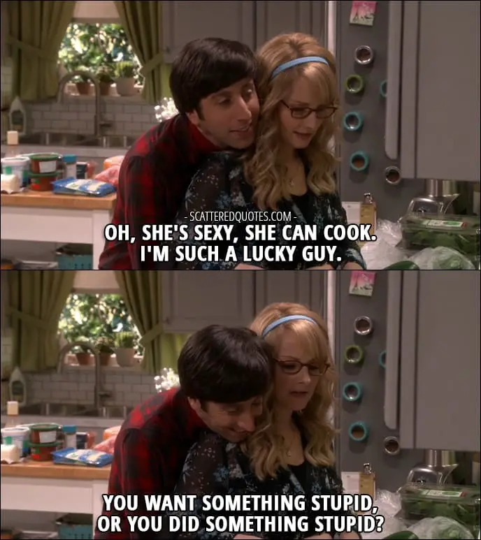 12 Best The Big Bang Theory Quotes from 'The Comic-Con Conundrum' (10x17) - Howard Wolowitz: Oh, she's sexy, she can cook. I'm such a lucky guy. Bernadette Rostenkowski-Wolowitz: You want something stupid, or you did something stupid?
