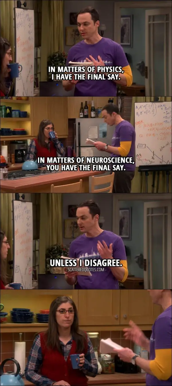 10 Best The Big Bang Theory Quotes from 'The Collaboration Fluctuation' (10x19) - Sheldon Cooper (to Amy): I believe I've made some progress on our ground rules. Number one: in matters of physics, I have the final say. In matters of neuroscience, you have the final say. Unless I disagree.