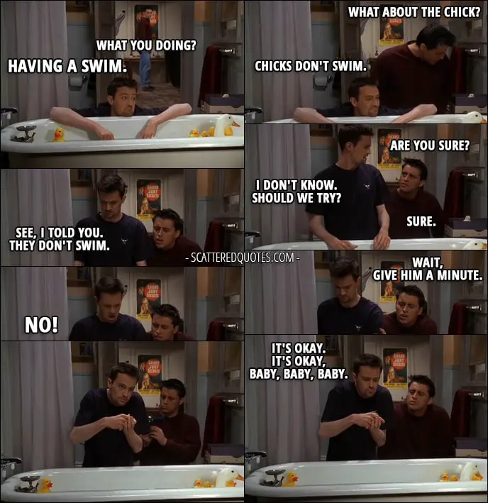 Quote from Friends 3x21 - Joey Tribbiani: What you doing? Chandler Bing: Having a swim. Joey Tribbiani: What about the chick? Chandler Bing: Chicks don't swim. Joey Tribbiani: Are you sure? Chandler Bing: I don't know. Should we try? Joey Tribbiani: Sure. Chandler Bing: See, I told you. They don't swim. Joey Tribbiani: Wait, give him a minute. Chandler Bing: No! It's okay. It's okay, baby, baby, baby.