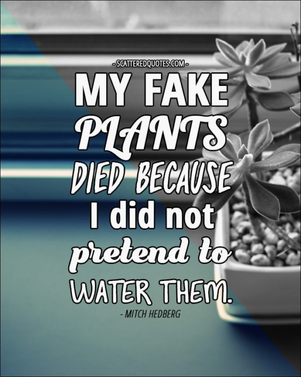 My fake plants died because I did not pretend to water them. - Mitch Hedberg