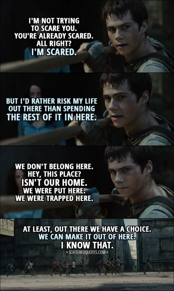 Quote from The Maze Runner (2014) - Thomas: I'm not trying to scare you. You're already scared. All right? I'm scared. But I'd rather risk my life out there than spending the rest of it in here. We don't belong here. Hey, this place? Isn't our home. We were put here. We were trapped here. At least, out there we have a choice. We can make it out of here. I know that.