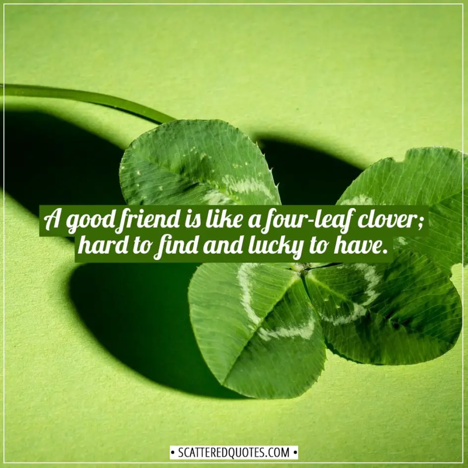 Friendship quotes | A good friend is like a four-leaf clover; hard to find and lucky to have. - (Irish Proverb)