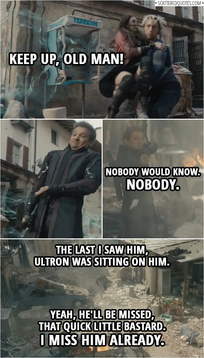 Quote from Avengers: Age of Ultron (2015) | Pietro Maximoff: Keep up, old man! (takes Wanda and runs off) Clint Barton: Nobody would know. Nobody. "The last I saw him, an Ultron was sitting on him. Yeah, he'll be missed, that quick little bastard. I miss him already."