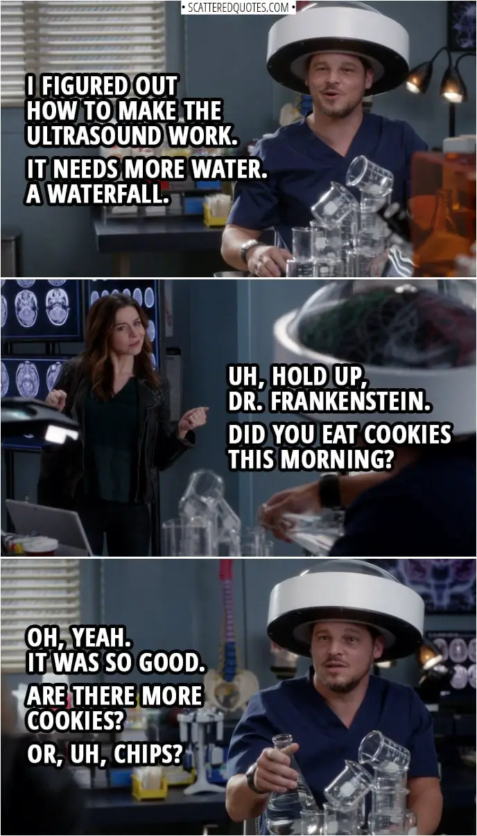 Quote from Grey's Anatomy 14x20 | Amelia Shepherd: Alex? Alex Karev: I figured out how to make the ultrasound work. It needs more water. A waterfall. Amelia Shepherd: Uh, hold up, Dr. Frankenstein. Did you eat cookies this morning? Alex Karev: Oh, yeah. It was so good. Are there more cookies? Or, uh, chips?