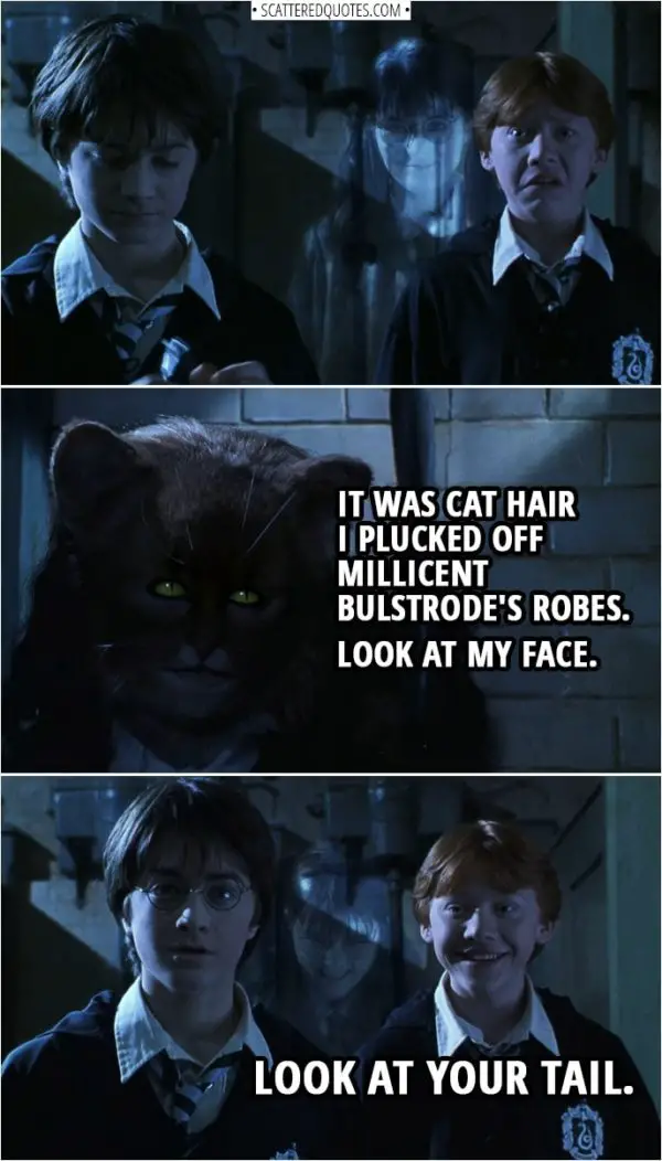 Quotes from Harry Potter and the Chamber of Secrets (2002) | Hermione Granger: Do you remember me telling you... that the Polyjuice Potion was only for human transformations? It was cat hair I plucked off Millicent Bulstrode's robes. Look at my face. Ron Weasley: Look at your tail.
