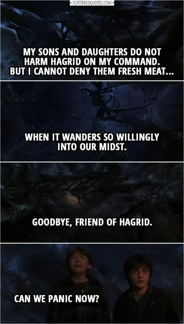 Quotes from Harry Potter and the Chamber of Secrets (2002) | Aragog: My sons and daughters do not harm Hagrid on my command. But I cannot deny them fresh meat... when it wanders so willingly into our midst. Goodbye, friend of Hagrid. Ron Weasley: Can we panic now?