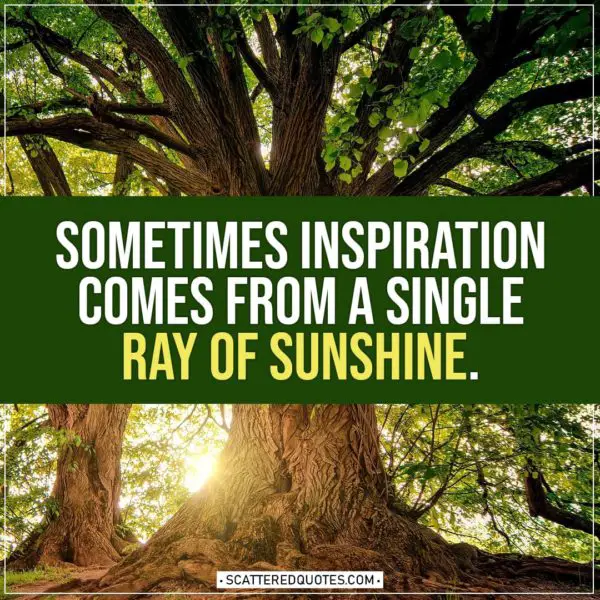 Spring Quotes | Sometimes inspiration comes from a single ray of sunshine.