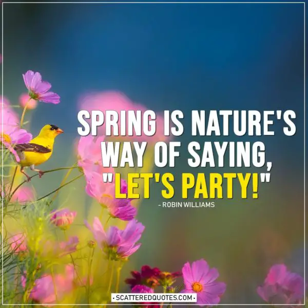 Spring Quotes | Spring is nature's way of saying, "Let's Party!" - Robin Williams