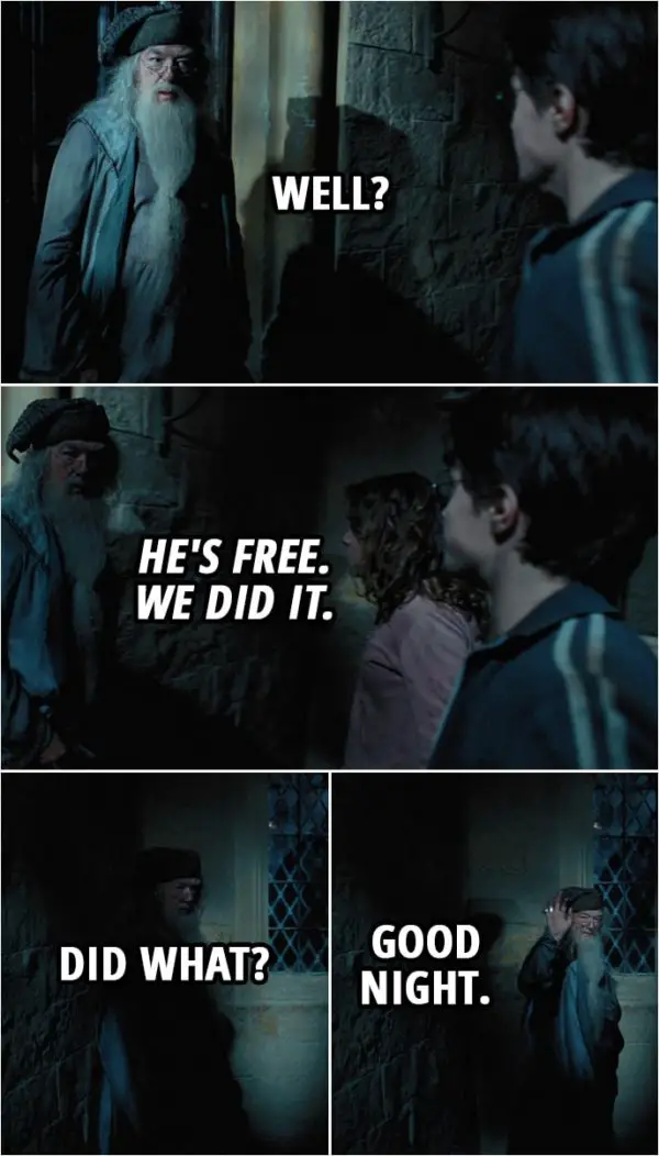 Quote from Harry Potter and the Prisoner of Azkaban (2004) | (After saving Sirius...) Albus Dumbledore: Well? Harry Potter: He's free. We did it. Albus Dumbledore: Did what? Good night.
