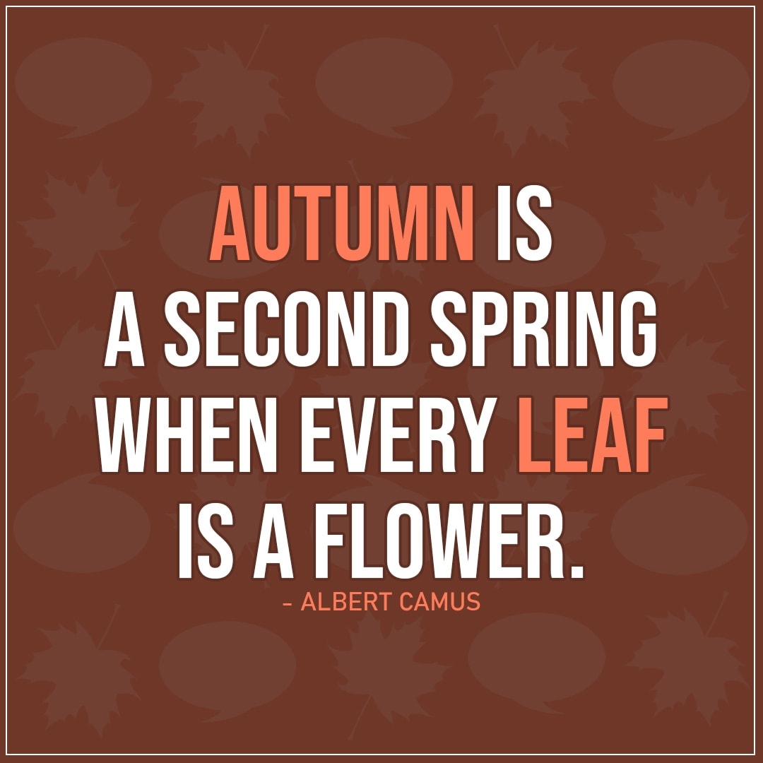 10+ Best 'Fall' Quotes & Sayings | Scattered Quotes