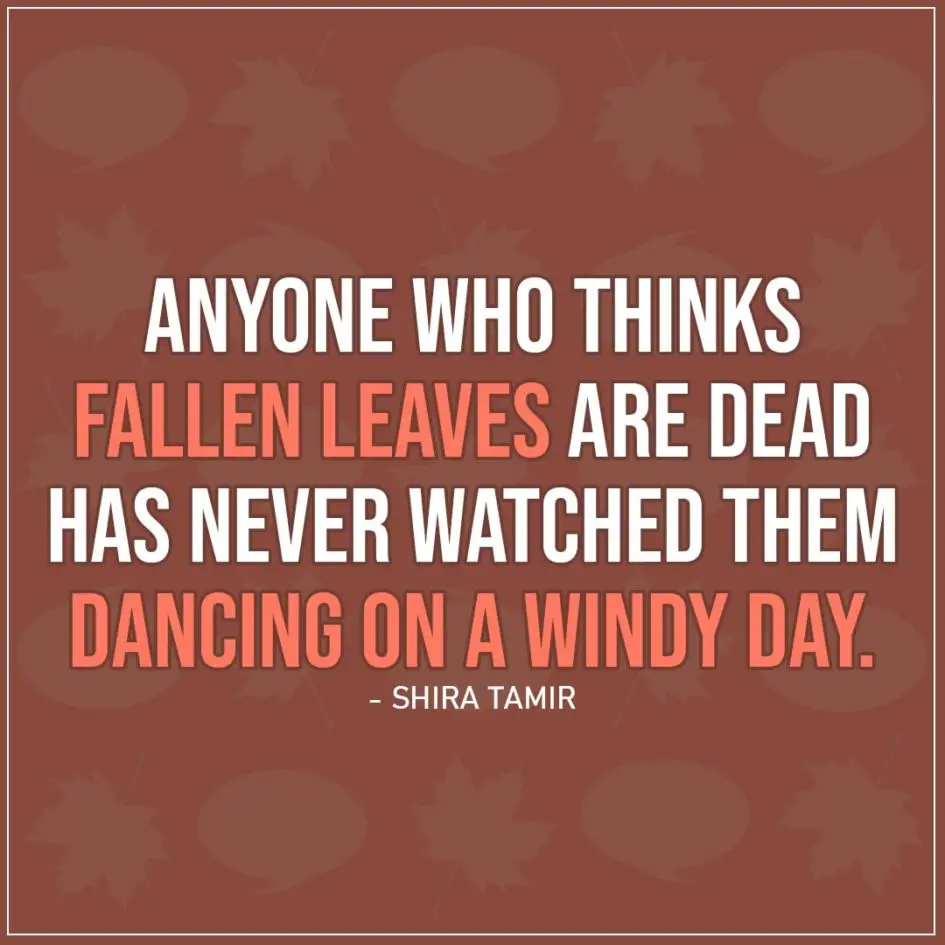 Quote about Fall | Anyone who thinks fallen leaves are dead has never watched them dancing on a windy day. - Shira Tamir