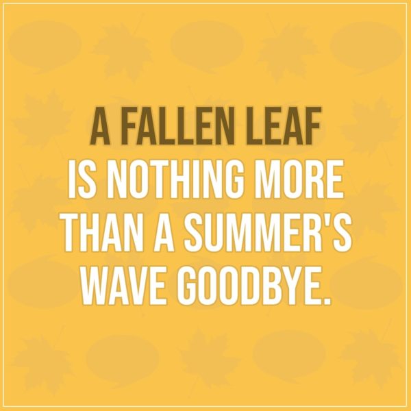 Quote about Fall | A fallen leaf is nothing more than a summer's wave goodbye. - Unknown
