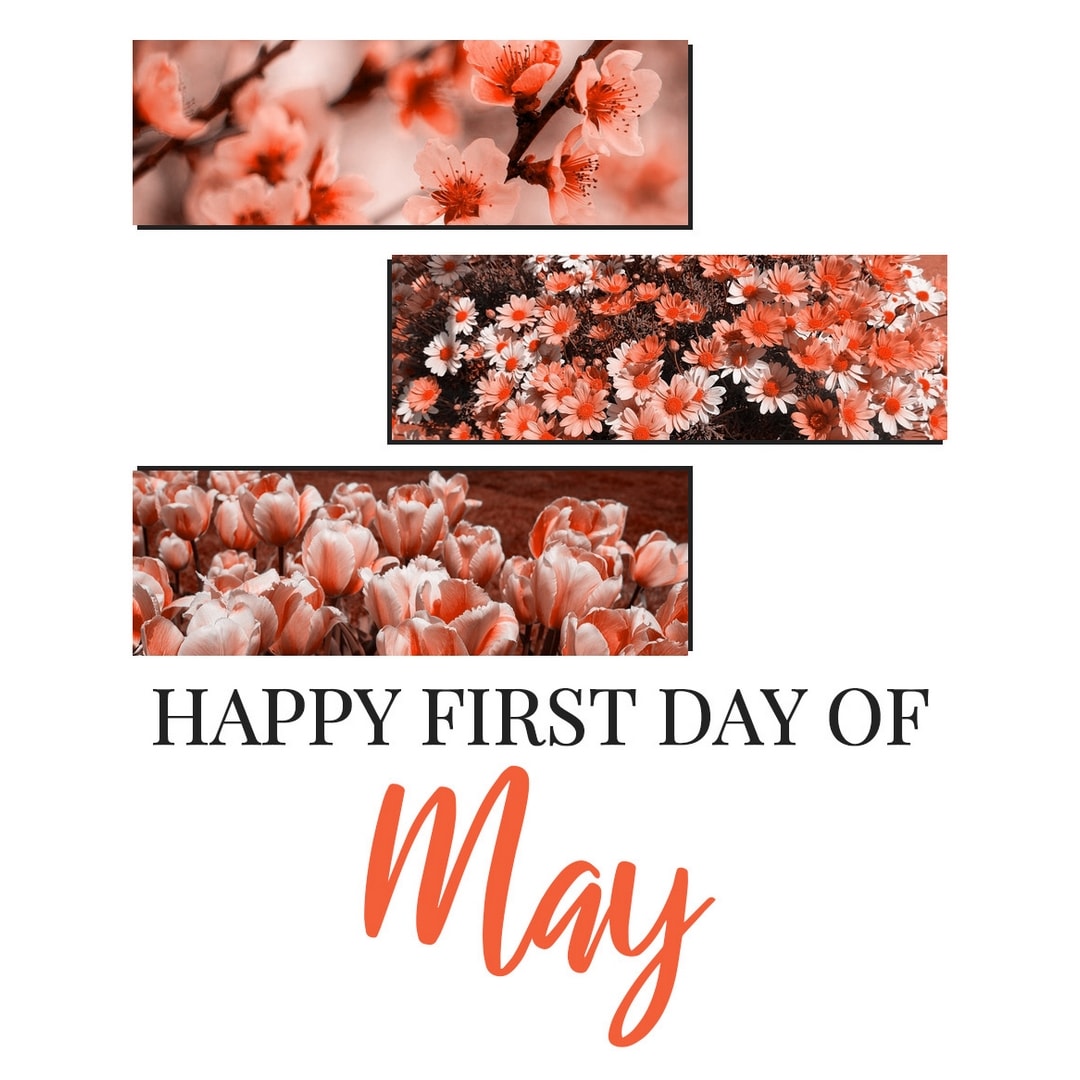 Month of May Quotes: Happy first day of May.