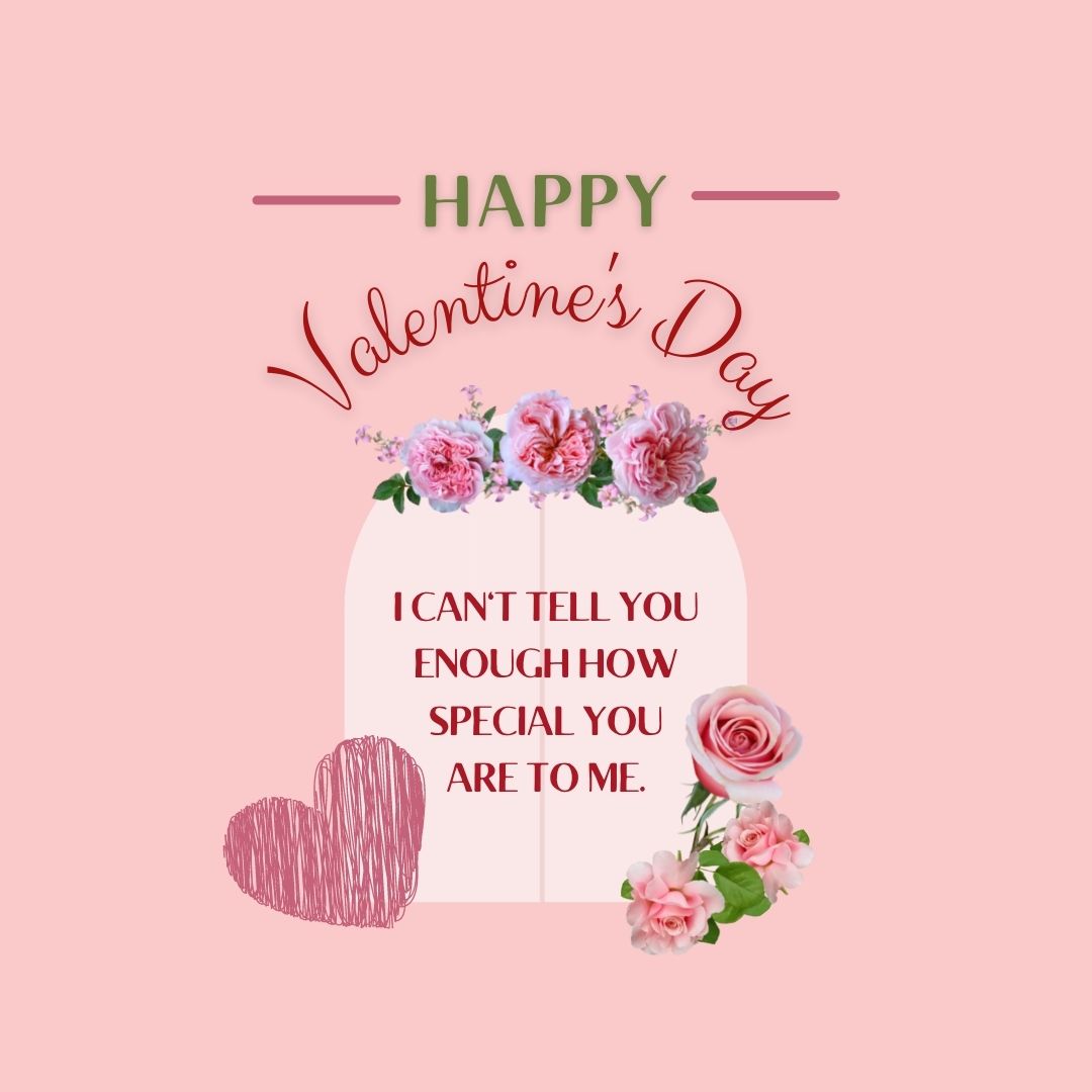 Valentine’s Day Quotes | Happy Valentine’s Day! I can’t tell you enough how special you are to me.