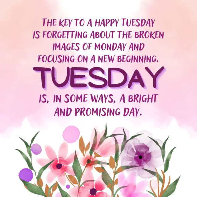 Tuesday Quotes & Sayings to Keep You Going Through The Week