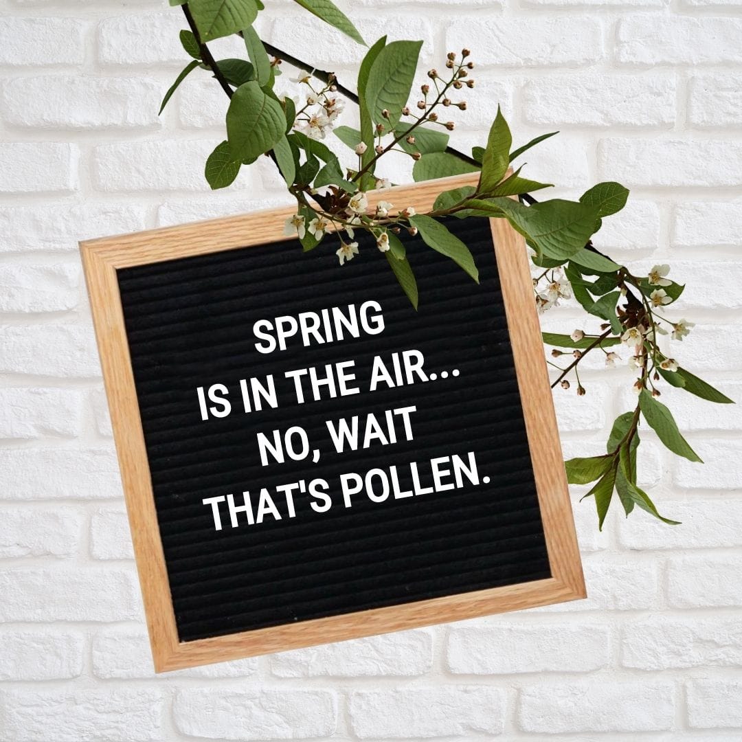 Spring Letter Board Quotes: Spring is in the air... no, wait that's pollen.