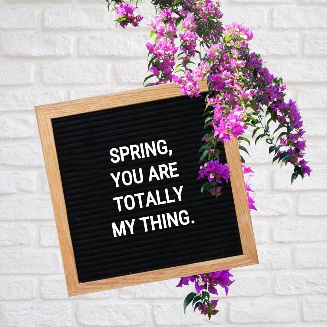 Spring Letter Board Quotes: Spring, you are totally my thing.