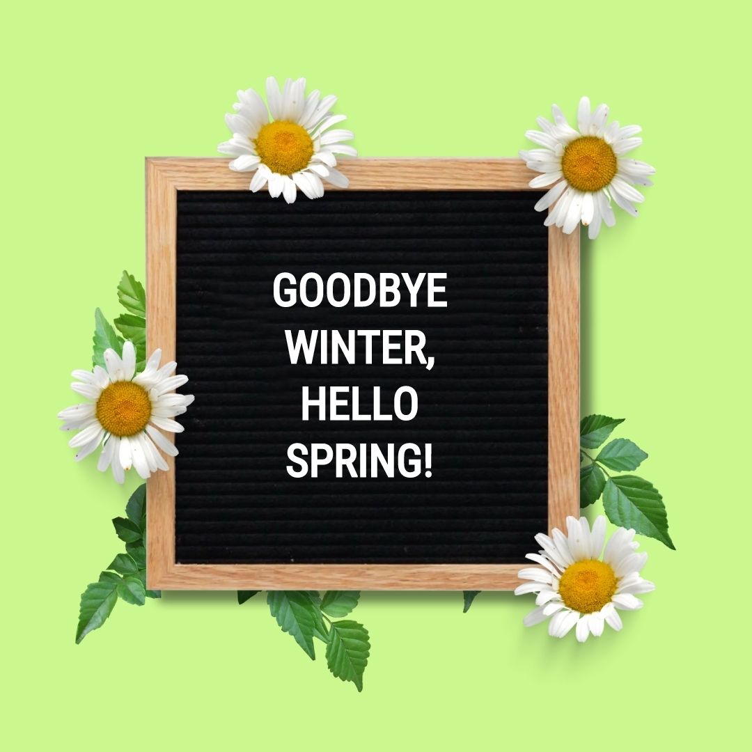 Spring Letter Board Quotes: "Goodbye Winter, hello Spring!"