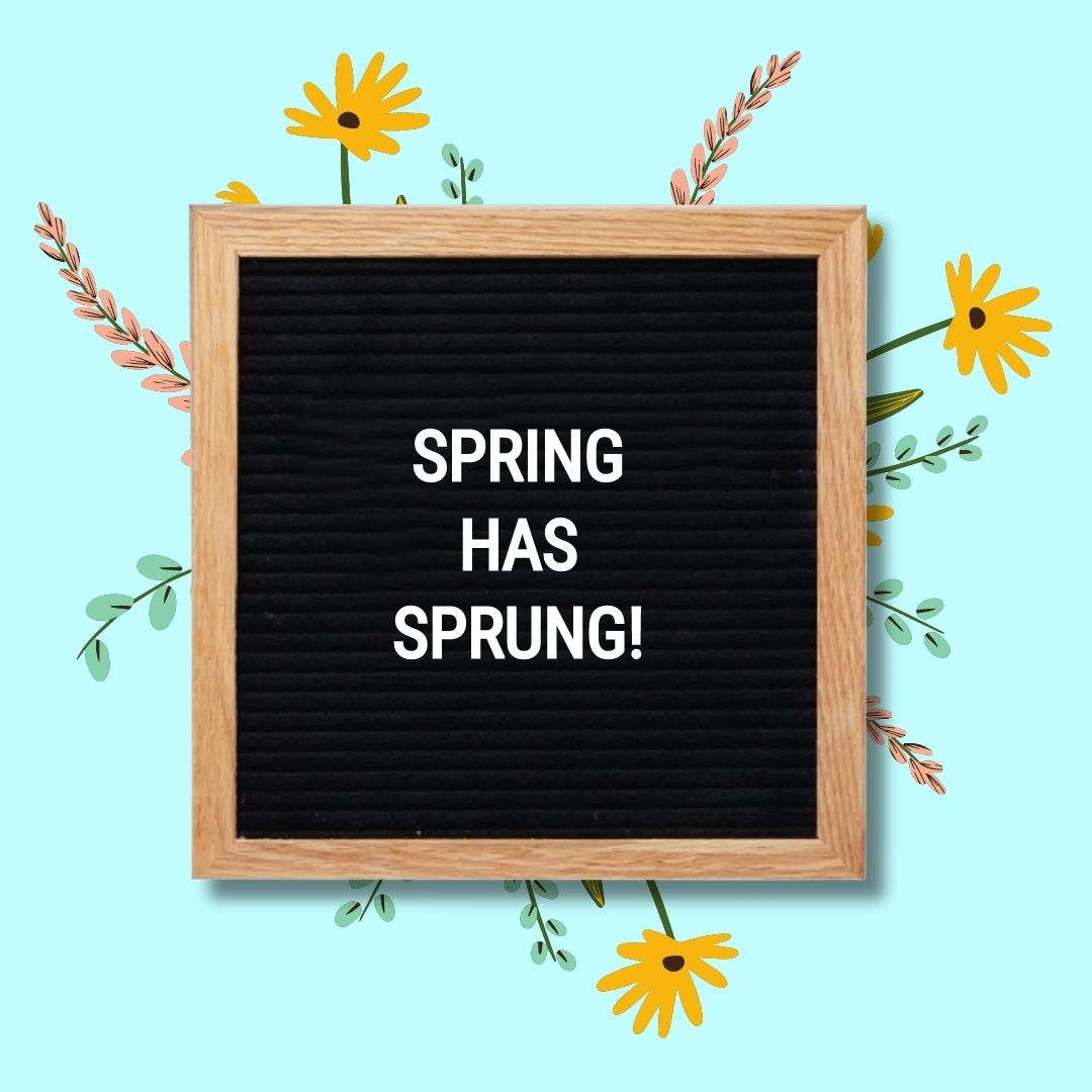 Spring Letter Board Quotes: "Spring has sprung!"