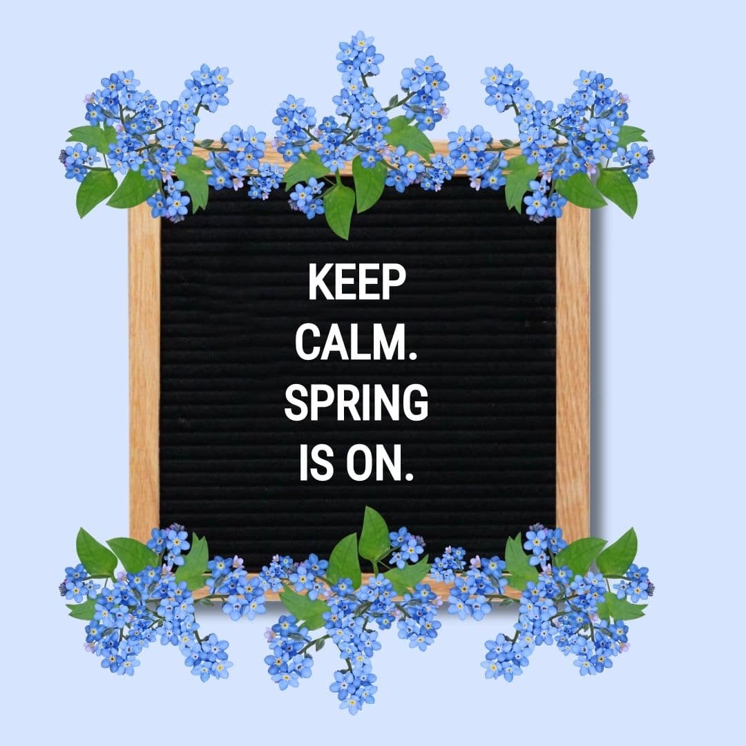 Spring Letter Board Quotes: "Keep calm. Spring is on."