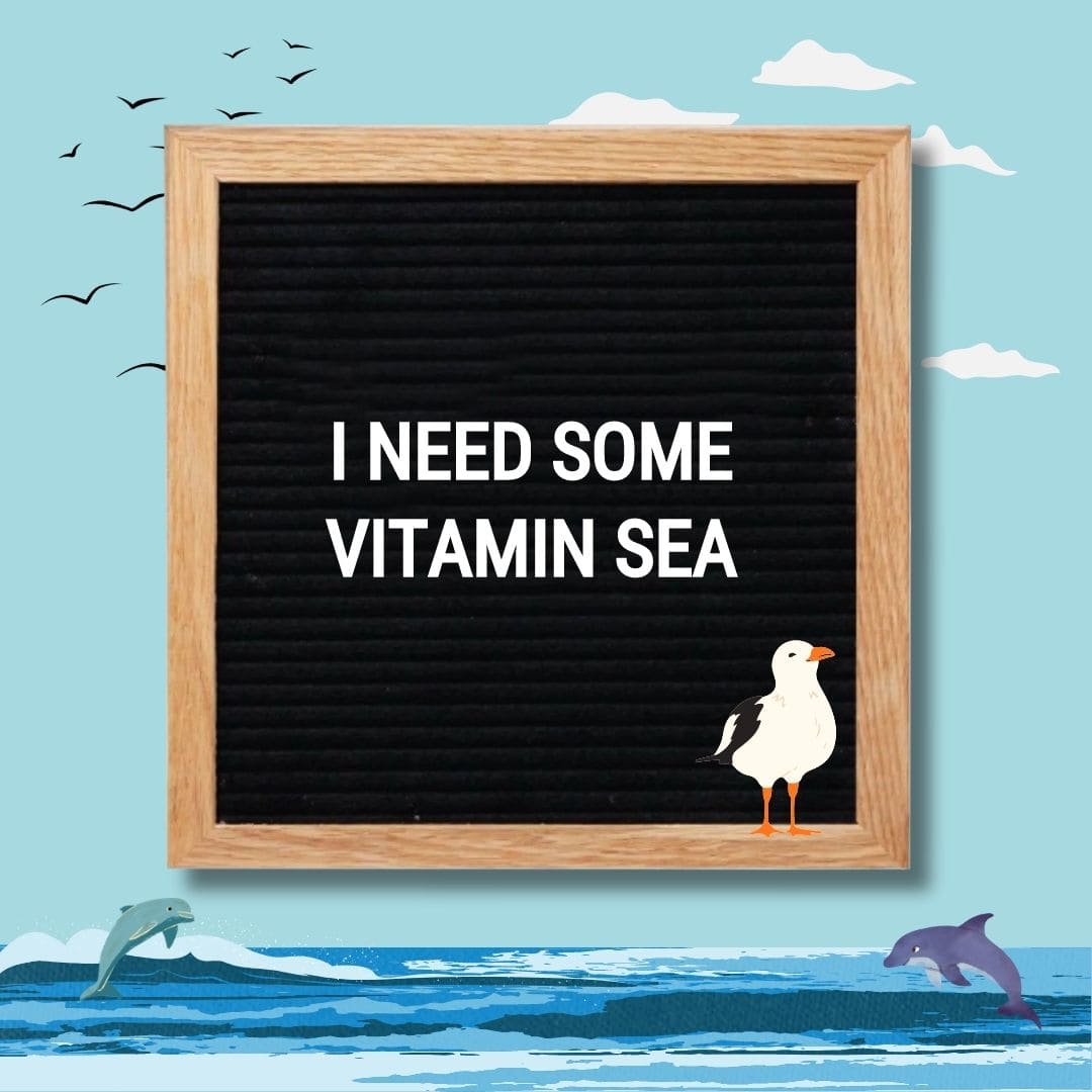 Funny Summer Letter Board Quotes: "I need some vitamin sea."