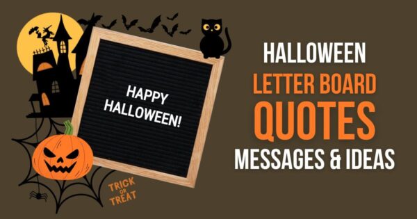 Halloween Letterboard Quotes Messages and Ideas