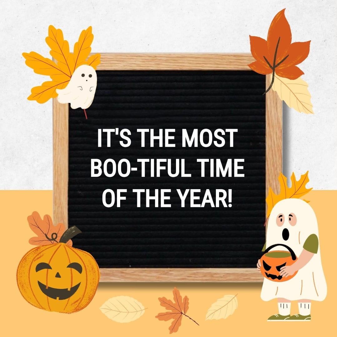 Halloween Quotes for Letter Boards: "It's the most boo-tiful time of the year!"