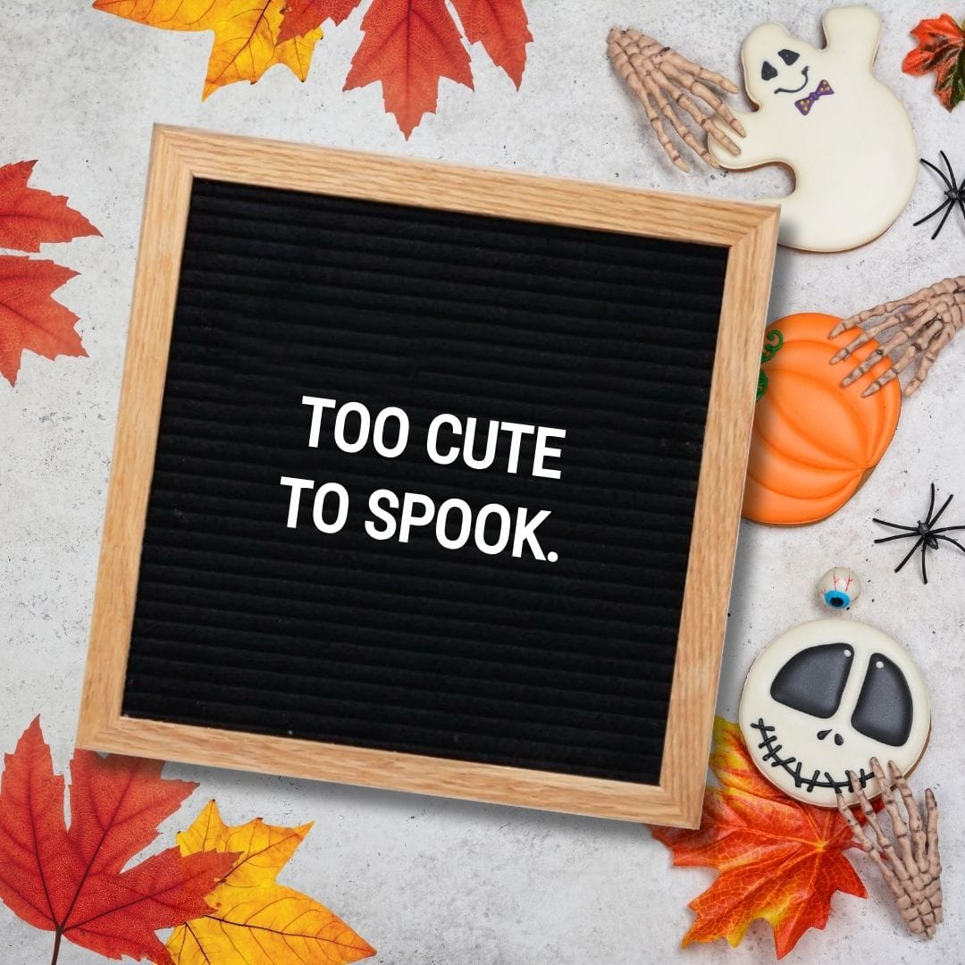 Halloween Quotes for Letter Boards: "Too cute to spook."