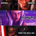 Quote from the series Star Wars Rebels 2x22 | (Ahsoka cuts Vader's mask in half revealing part of his face) Darth Vader: Ahsoka. Ahsoka Tano: Anakin. I won't leave you. Not this time. Darth Vader: Then you will die.