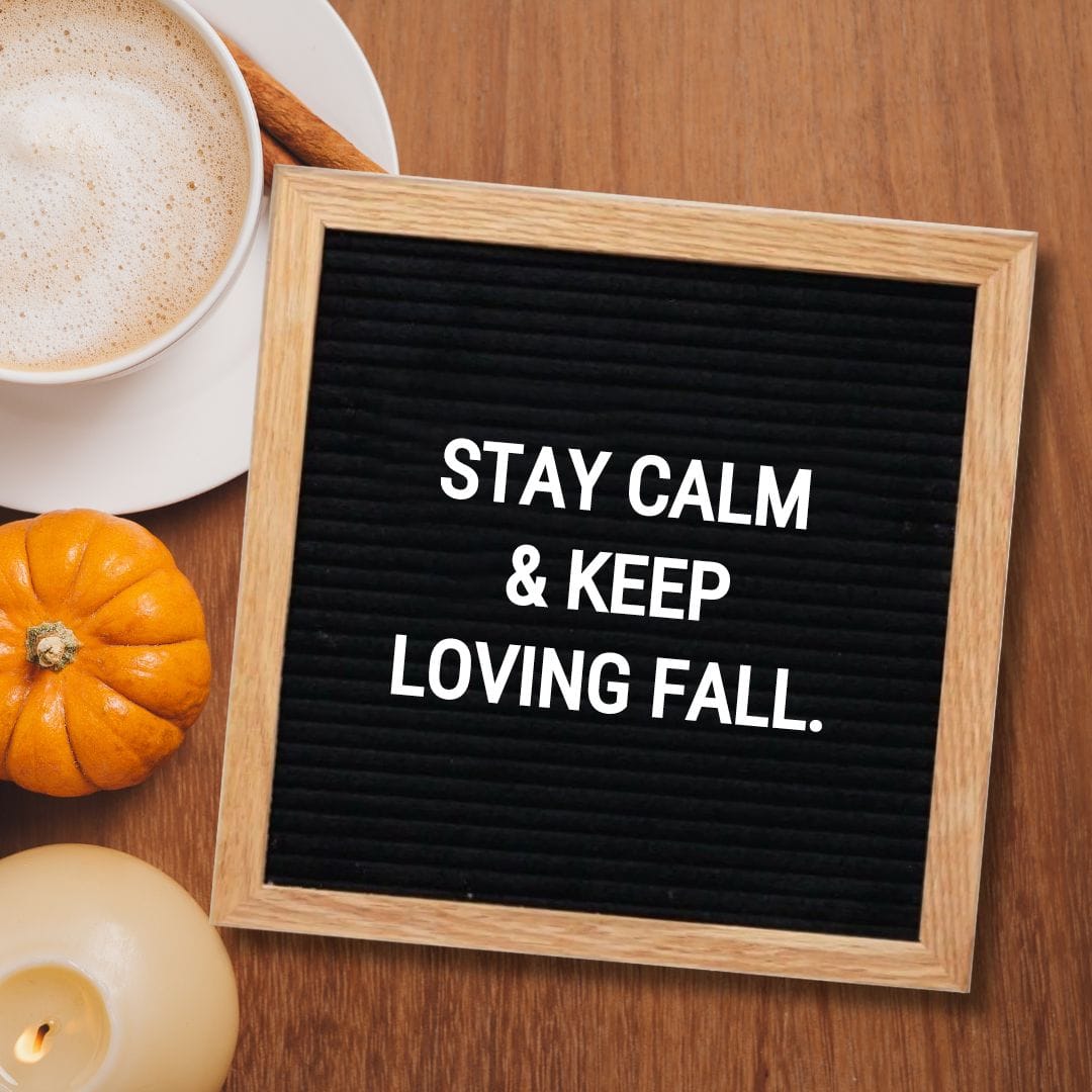 Fall Letter Board Quotes - Quote about Fall: "Stay Calm & Keep Loving Fall."