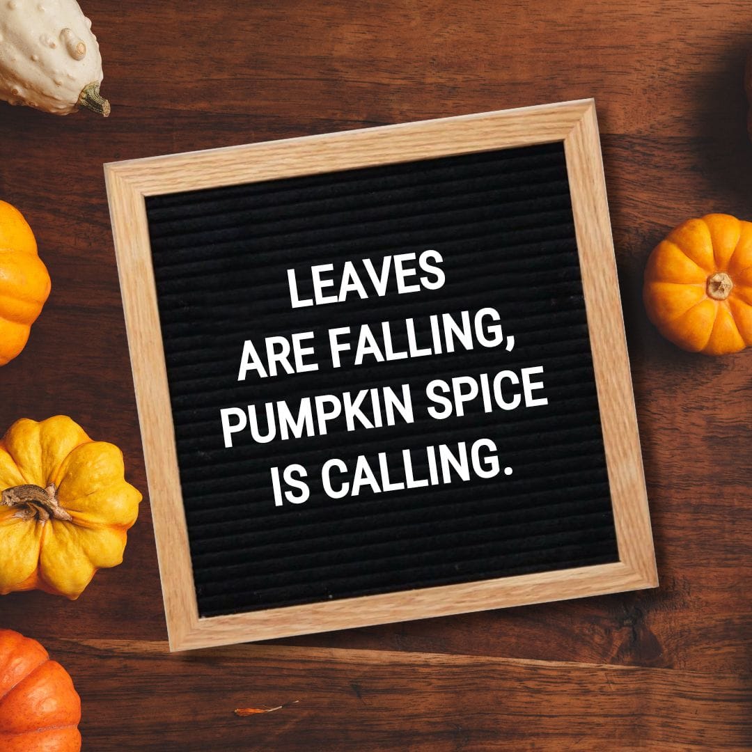 Fall Letter Board Quotes - Quote about Fall: "Leaves are falling, pumpkin spice is calling."