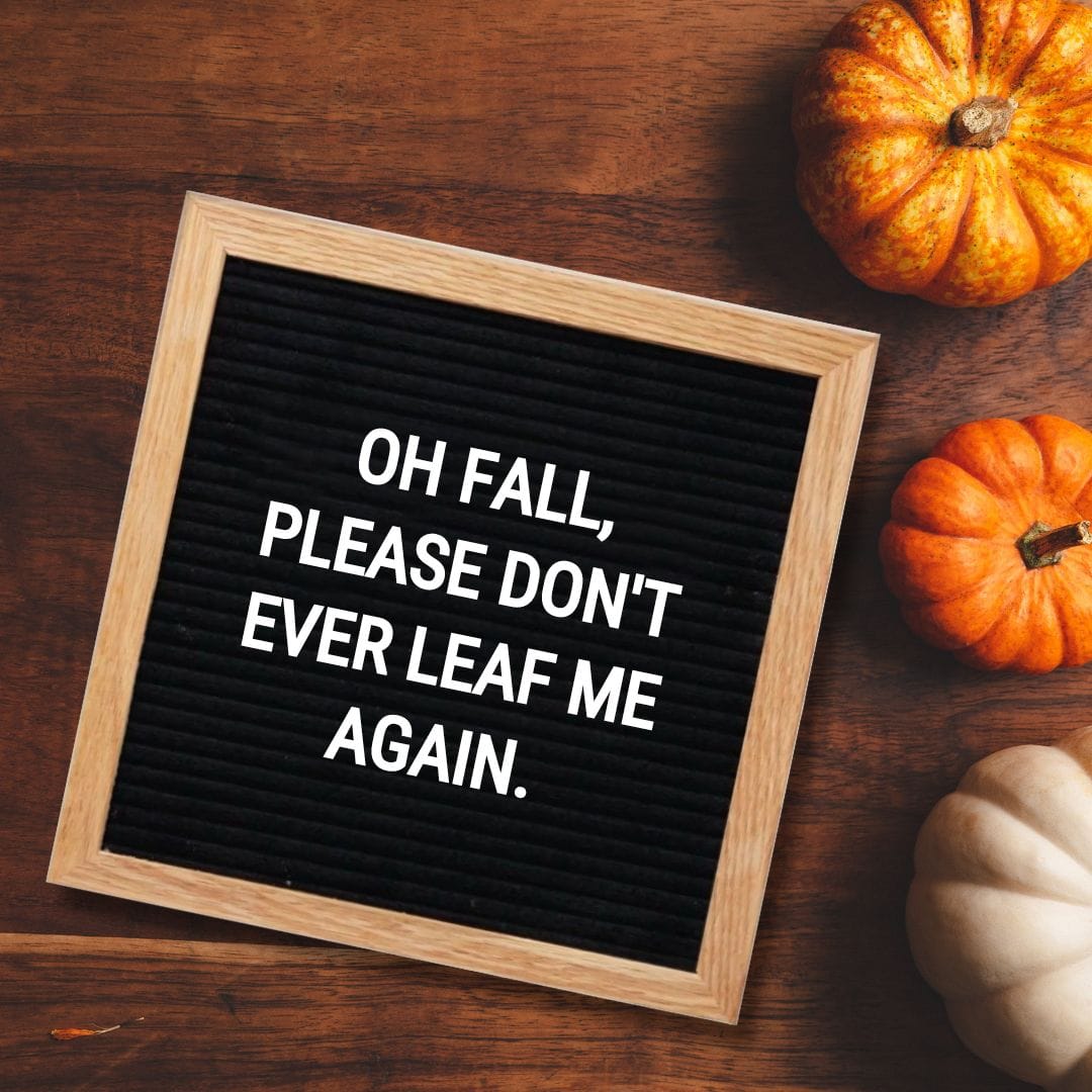 Fall Letter Board Quotes - Quote about Fall: "Oh Fall, please don't ever leaf me again."