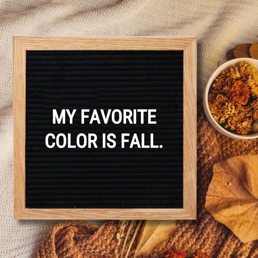 Fall Letter Board Quotes - Quote about Fall: "My favorite color is Fall."