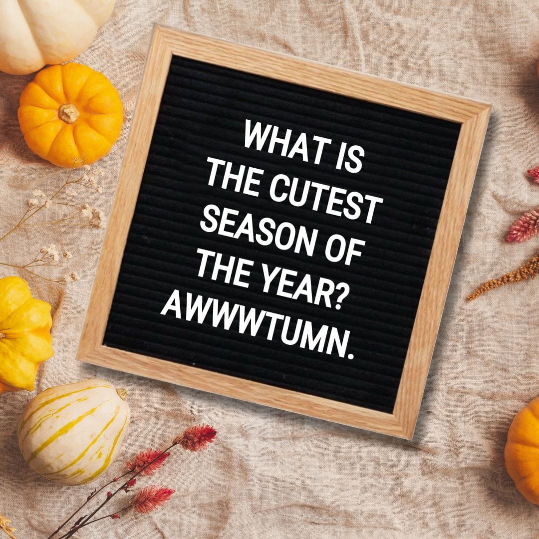 Fall Letter Board Quotes - Quote about Fall: "What is the cutest season of the year? Awwwtumn."