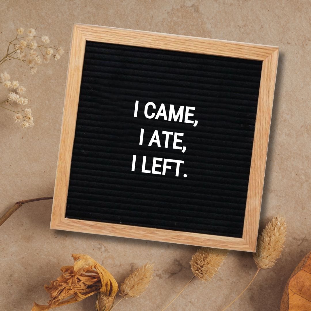 Thanksgiving Letter Board Quotes - Quote about Thanksgiving: "I came, I ate, I left."