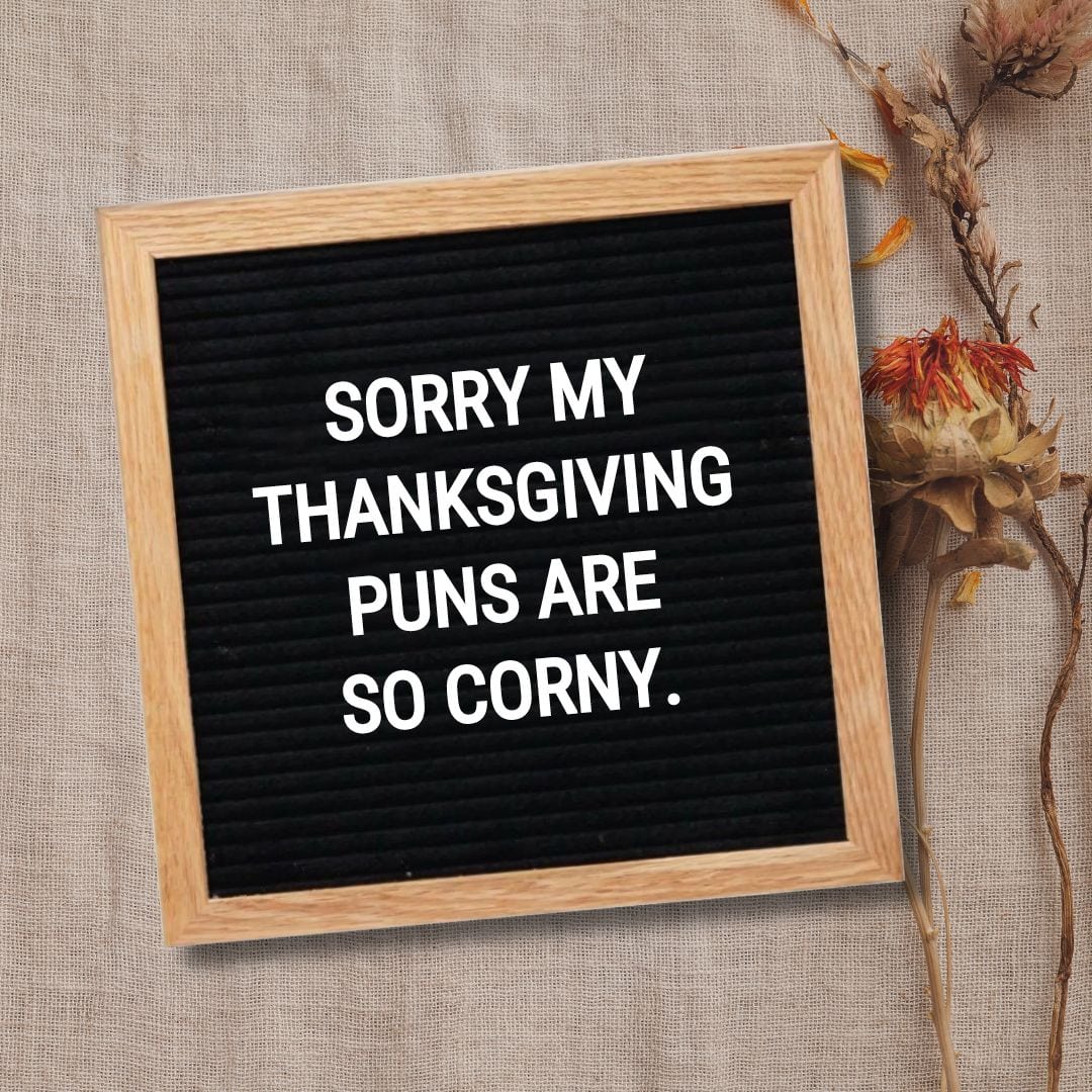 Thanksgiving Letter Board Quotes - Quote about Thanksgiving: "Sorry my Thanksgiving puns are so corny."