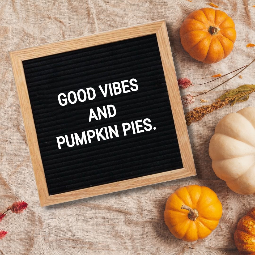 Thanksgiving Letter Board Quotes - Quote about Thanksgiving: "Good vibes and pumpkin pies."
